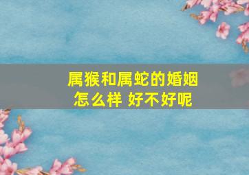 属猴和属蛇的婚姻怎么样 好不好呢